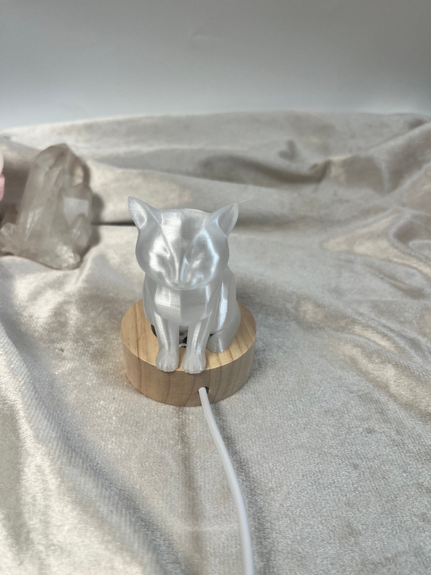 Katze Lampe
